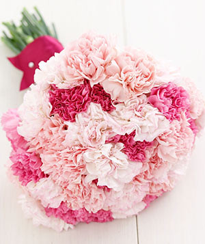 Red and Pink Carnations