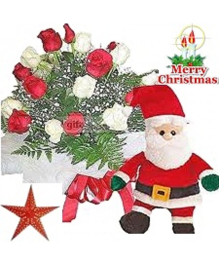 Christmas Special Mix Roses