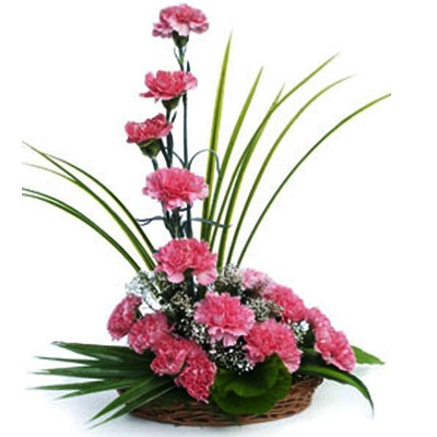 15 Pink Carnations Basket Arrangement