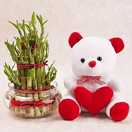 Combo Gift Of 2 Layer Bambo Plant With 6Inch Cute Teddy
