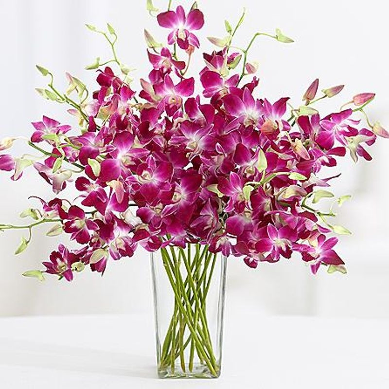 Orchid Vase Arrangement  12 Purple Orchid In Glass Vase.