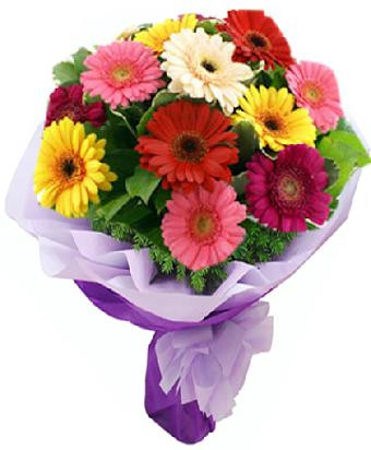 Bouquet Of 13 Mix Color Gerberas