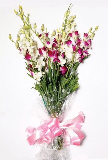 Loving Orchird -- A Bunch Of 5 Pink And 4 White Orchid.