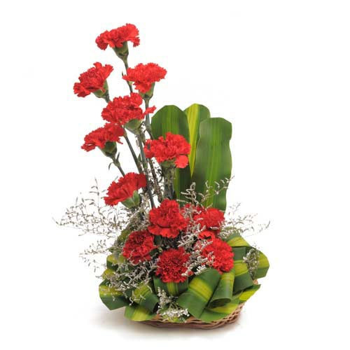 Basket Arrangement Of 12 Red Carnations With Dracaena Leaves