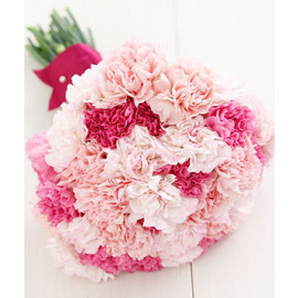 Red and Pink Carnations