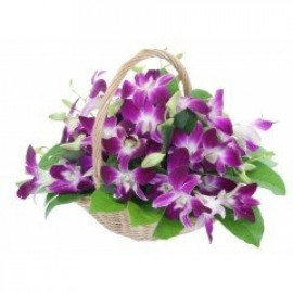 Orchid Basket