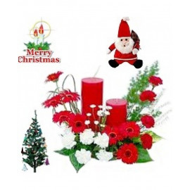 Christmas Special Designer Arrangement