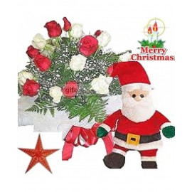 Christmas Special Mix Roses
