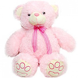 Pink Teddy