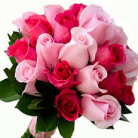 Red N pink Roses