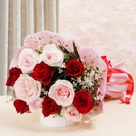 Red and Pink Roses