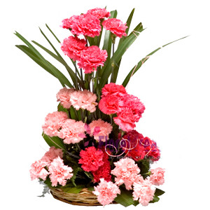 Basket Arrangement Of 25 Pink Carnation