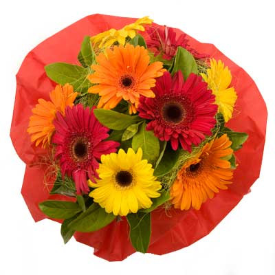 Mixed Bright Coloured Gerberas