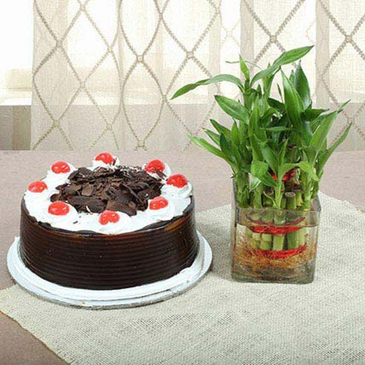 Combo Gift Of 2 Layer Lucky Bambo Plant And Half Kg Back Forest Cake