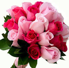 Red N pink Roses